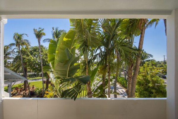 A view of lush palm trees and greenery as seen from a balcony or terrace, beneath a clear blue sky outside a white structure ending the sentence.