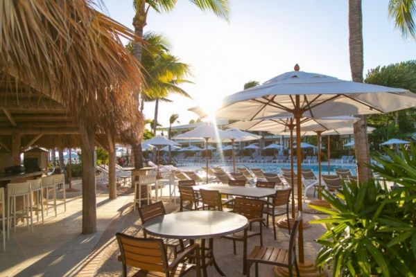 The image shows an outdoor seating area at a tropical resort with wooden tables, chairs, sun umbrellas, and palm trees, located near a pool.