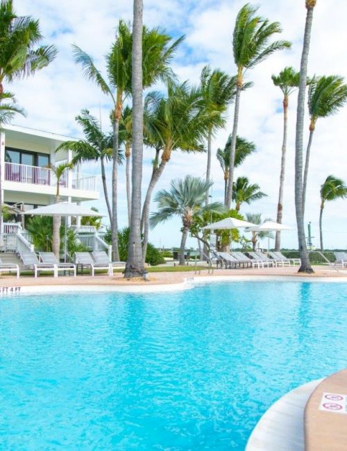 A resort-style swimming pool surrounded by palm trees and sun loungers, with a building and clear sky in the background.