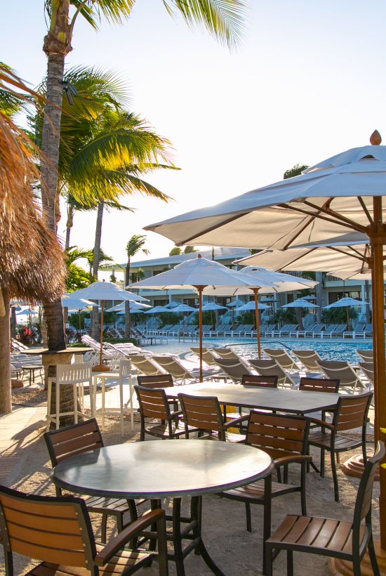 The image shows an outdoor seating area with tables, chairs, and umbrellas near a pool, surrounded by palm trees and tropical plants, creating a serene atmosphere.