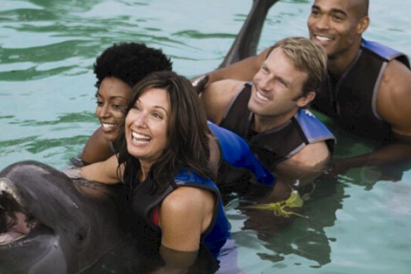 A group of four people smiling and holding onto a joyful-looking dolphin in a body of water, all wearing life vests, seemingly enjoying the moment.