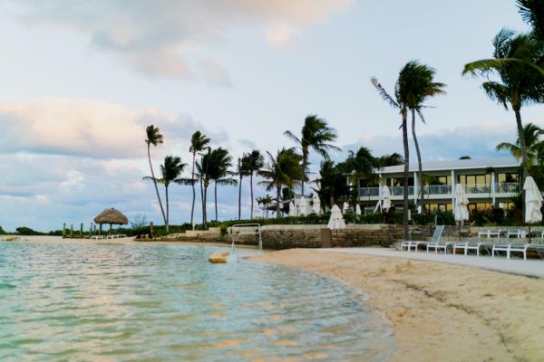 A beach scene with palm trees, calm waters, lounge chairs, umbrellas, and a multi-story building in the background.