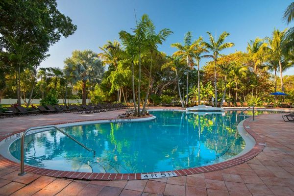 A tropical outdoor swimming pool surrounded by lush greenery and palm trees, with lounge chairs lining the deck for relaxation.