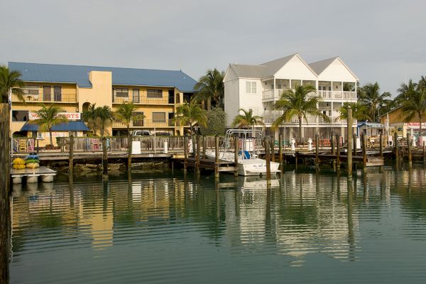 The image shows a calm waterfront scene with docked boats and buildings, lined with palm trees, reflecting in the water.