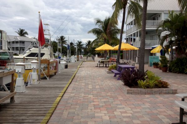 A waterfront promenade with boats docked on the left, lined with palm trees, umbrellas, benches, and tables in an outdoor setting.