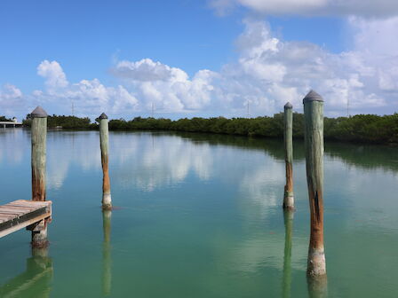 A calm body of water with wooden posts and a small dock under a blue sky with clouds.