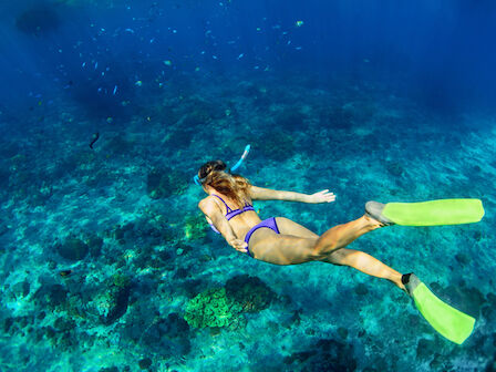 A person snorkeling underwater with green flippers, exploring a clear blue ocean environment filled with coral and small fish.