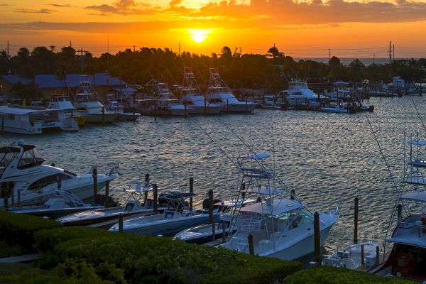 A marina at sunset with several docked boats and a calm water surface. Orange and yellow hues fill the sky above the treeline.