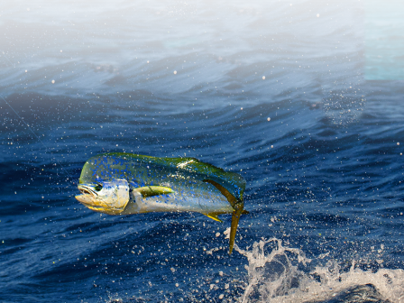 A vibrant, greenish fish leaps out of the deep blue water, creating a splash against the backdrop of the ocean waves.