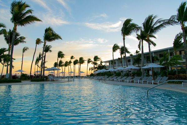 A luxurious resort pool surrounded by tall palm trees, white lounge chairs, and umbrellas during sunset, creating a serene and tropical ambiance.