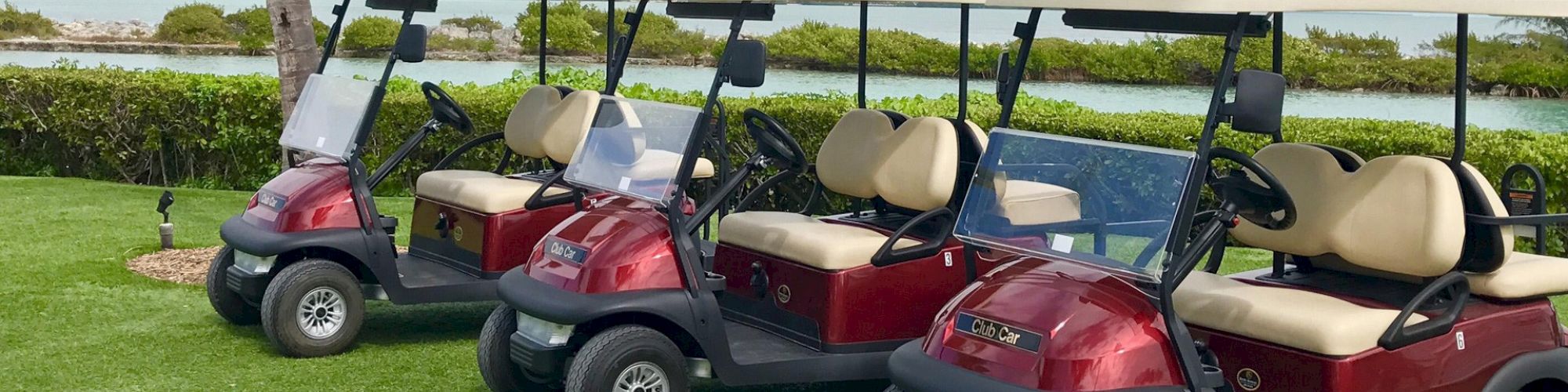 The image shows three red golf carts with beige seats parked on a grassy area near a body of water with trees in the background.