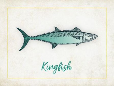 The image shows an illustration of a kingfish with the text "Kingfish" written below it.