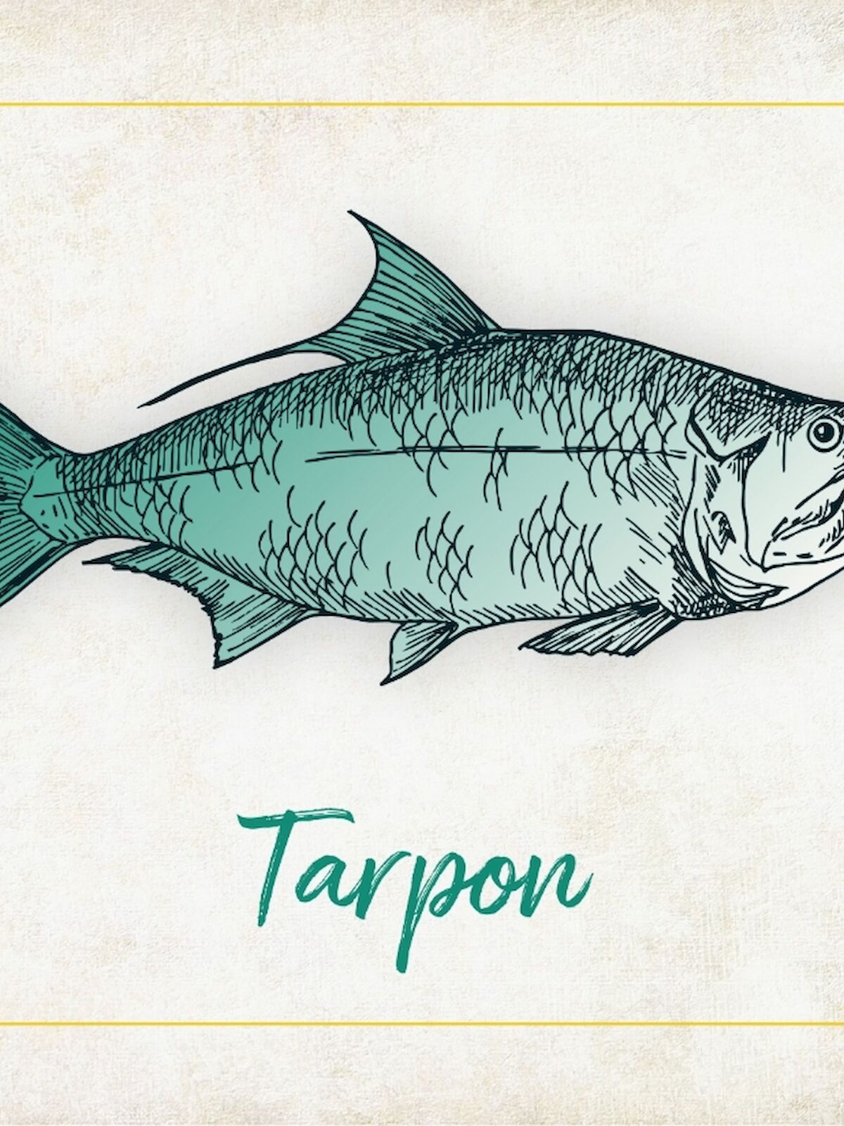 The image depicts an illustration of a fish with the label "Tarpon" written below it in green text within a bordered background.