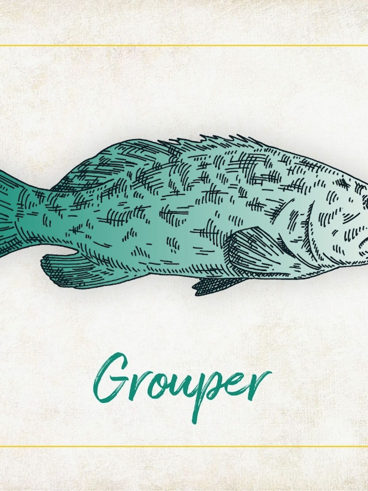 The image shows a drawing of a grouper fish with the word "Grouper" written below it, all set against a light, textured background.