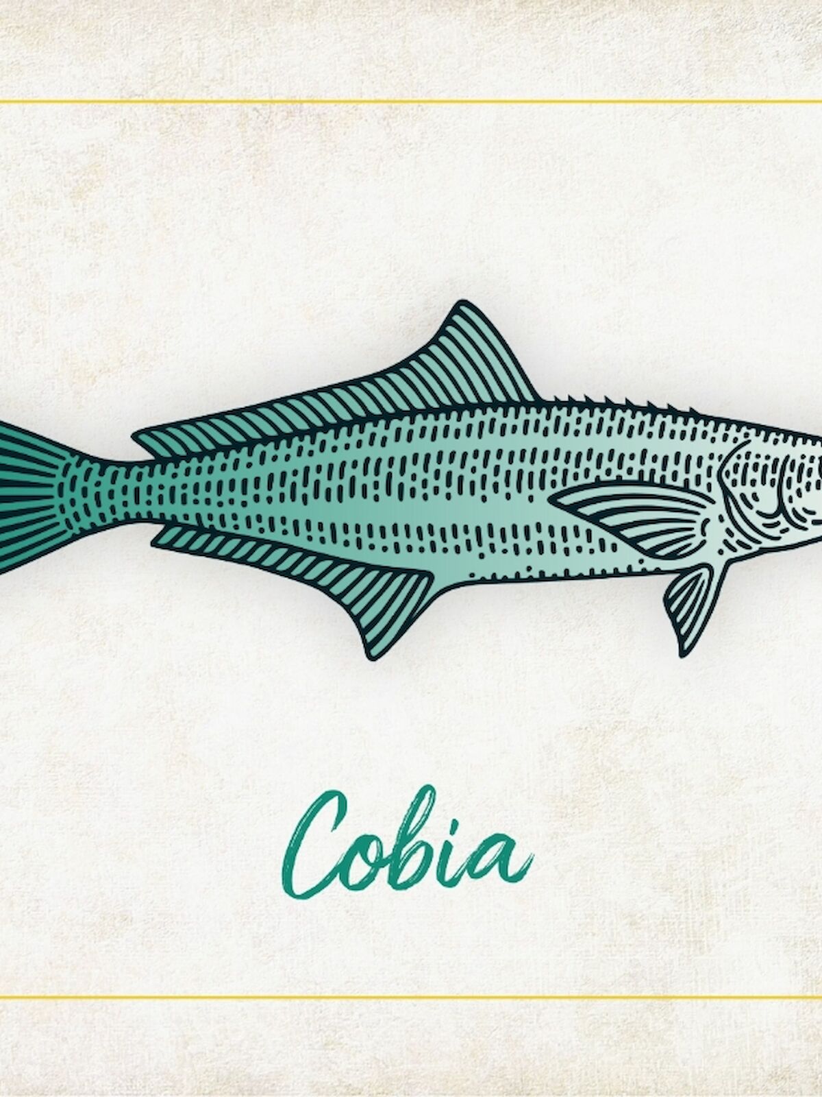 The image features an illustration of a fish labeled "Cobia" on a textured background with a subtle border.