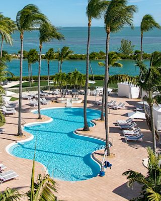 A luxurious resort pool surrounded by palm trees and sun loungers next to a body of water with clear skies.