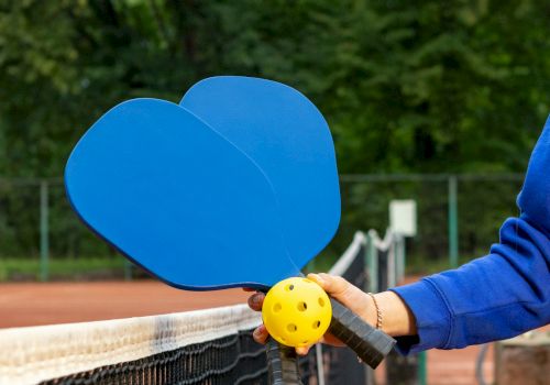 A person is holding two blue pickleball paddles and a yellow ball at a tennis court with a net and trees in the background.