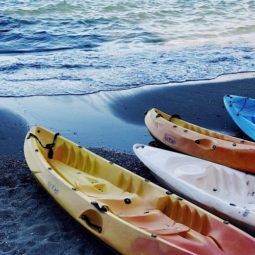 Several kayaks are lined up on a sandy beach near the shoreline, with gentle waves from the ocean in the background.