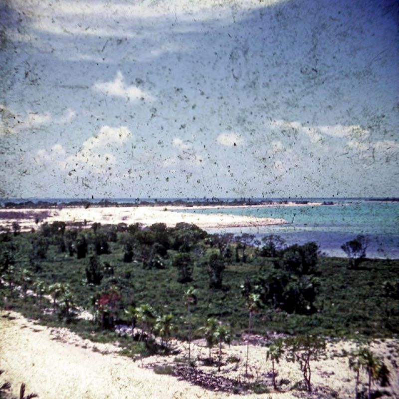 The image shows a beach landscape with a mix of sand, greenery, and ocean under a partly cloudy sky, giving a serene and natural vibe.