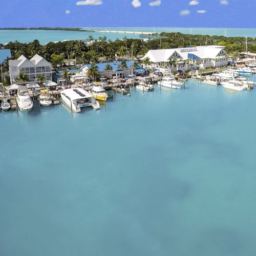 The image shows a marina with numerous boats docked, turquoise water, and buildings surrounded by lush greenery under a bright blue sky with white clouds.