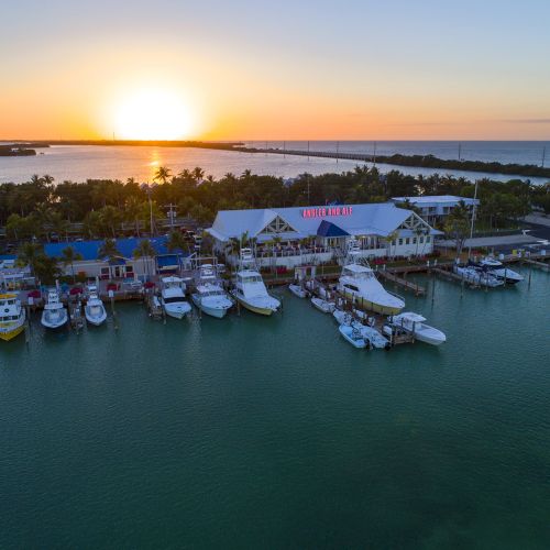 A picturesque marina at sunset with boats docked along the waterfront, adjacent buildings, and palm trees in the background.