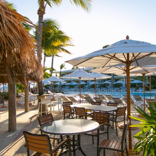 Outdoor dining area with tables, chairs, and umbrellas near a pool, surrounded by palm trees and tropical plants, creating a beach resort vibe.