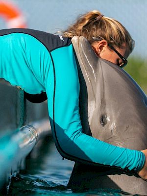 A person in a wetsuit hugs a dolphin near the edge of a pool, showing a close and affectionate interaction.