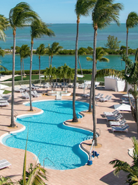 An aerial view of a luxurious resort featuring a pool, palm trees, lounge chairs, cabanas, and a clear ocean in the background, under a blue sky.