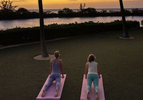Two people are practicing yoga on mats, facing a sunset over water, surrounded by trees and grass.