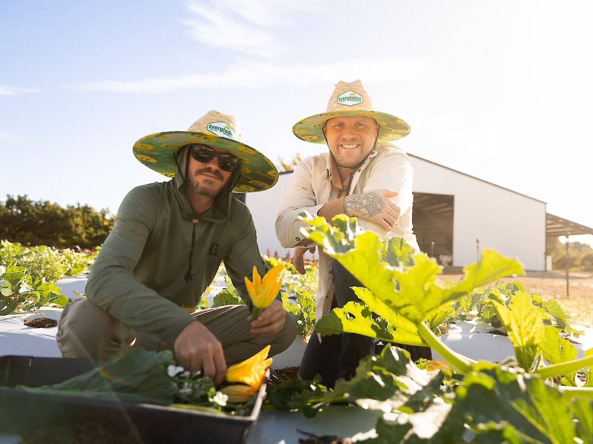 Two people in wide-brimmed hats are gardening, surrounded by leafy plants, with a building in the background under a sunny sky.