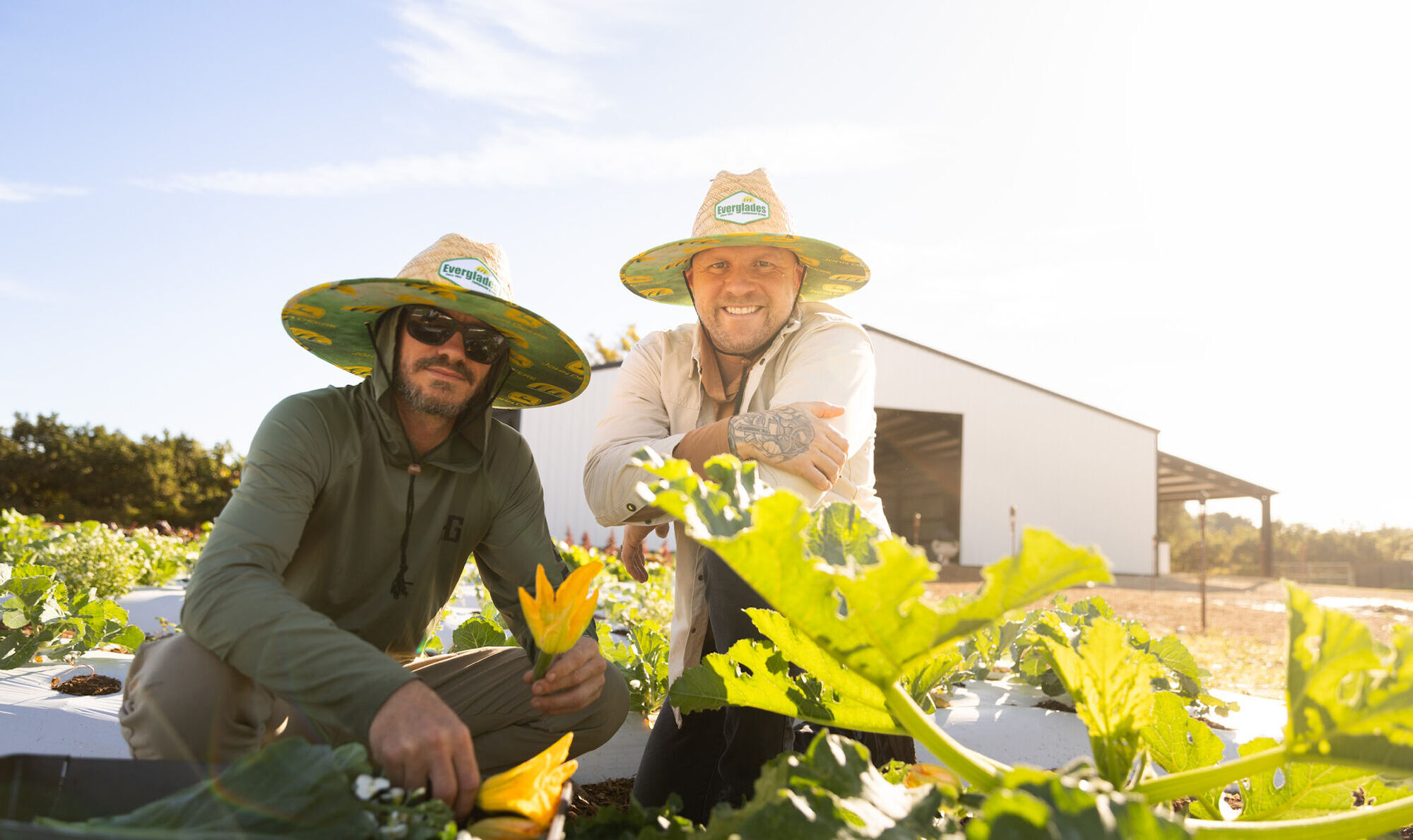 Two people in sun hats crouch in a garden, examining plants, with a building in the background under a clear sky.